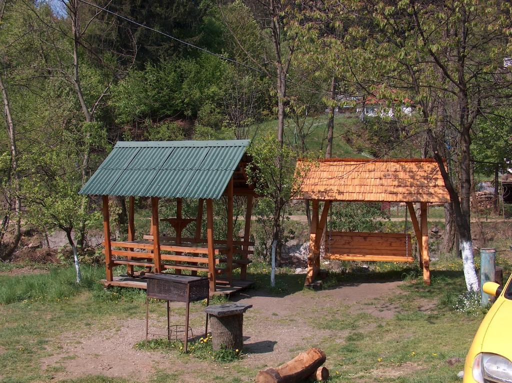 Pensiunea Adina Cavnic Exterior foto