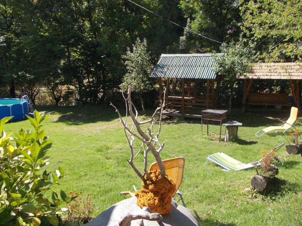 Pensiunea Adina Cavnic Exterior foto